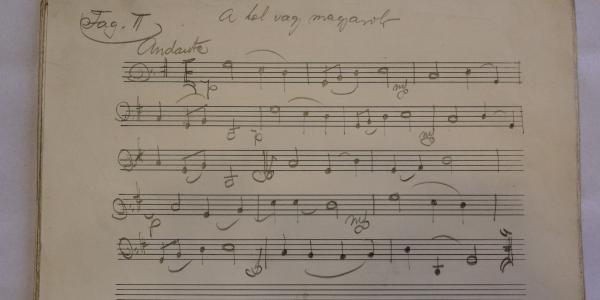 Bogisich_Vavrinecz_Sárkány