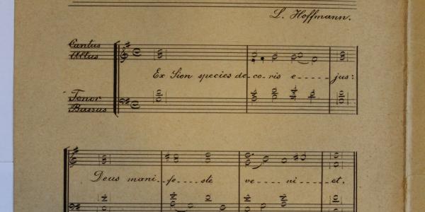 Ex Sion species_B 122