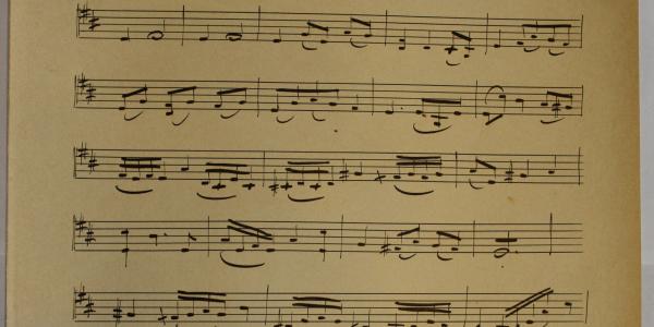 Justus_ut_palma_A 15